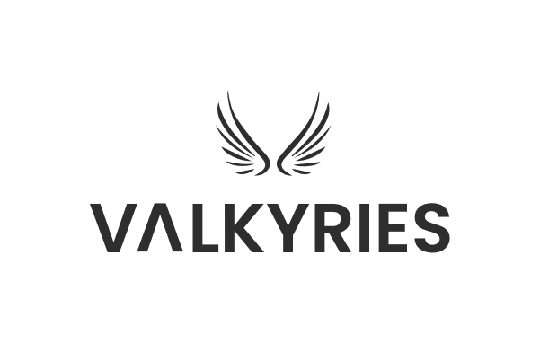 VALKYRIES: Harmonization and Pre-Standardization of and Tactical Coordinated procedures for First Aid Vehicles deployment on European multi-victim Disasters